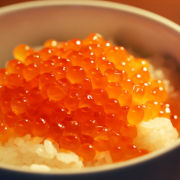 山形県産　いくら醤油漬け