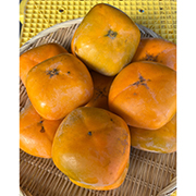 【訳あり】富有柿7kg【出荷時期:11月上旬より順次/販売期間:12月上旬まで】