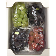 ぶどうのおまかせ詰め合わせ 2kg（他商品との同時購入不可）【出荷時期：8月下旬より / 販売期間：10月上旬まで】