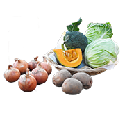 季節の野菜セット